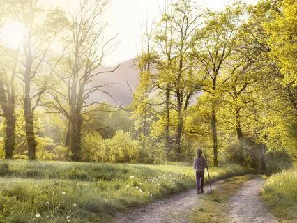 Niyama #2: Contentment Meditation