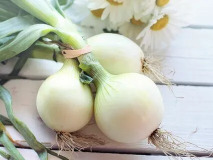 Niyama #4: Self-Study