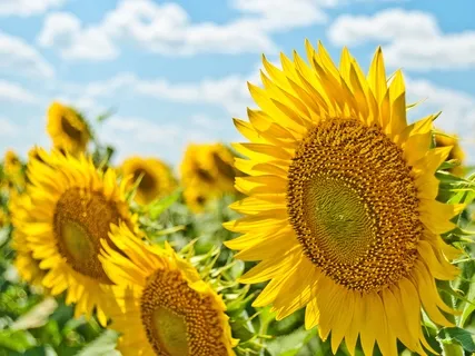 Simple Breathing Technique 2