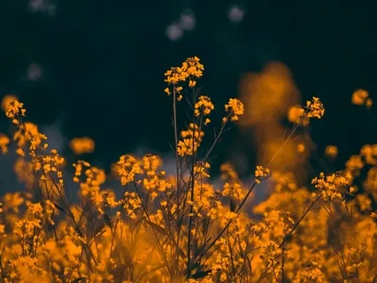 Simple Breathing Technique 3