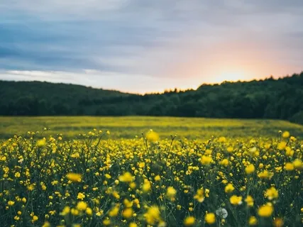 Simple Breathing Technique 4