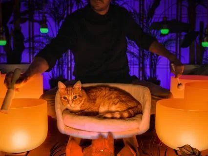 No AI - Real Sound Bath For Sleep (+ Rain Sounds)