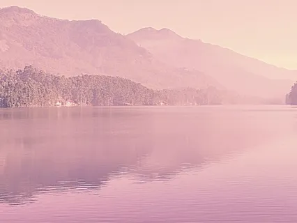 No Attachment, No Misery