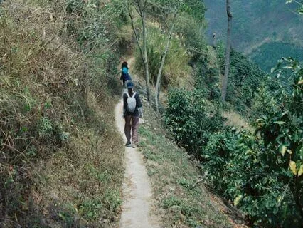 No Coming No Going - Plum Village (Ukulele Version)