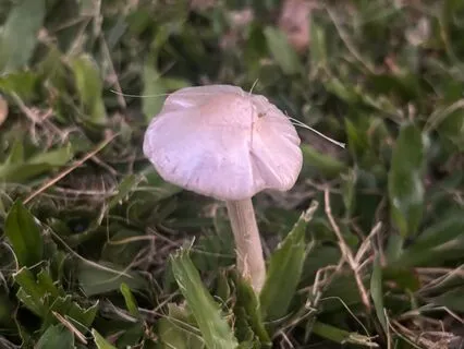 "No" Is A Complete Answer