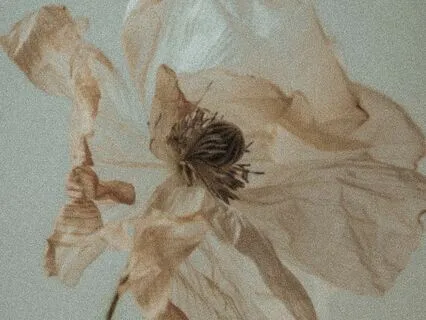 No Matter How Much It Hurts, Hold Yourself - Grow