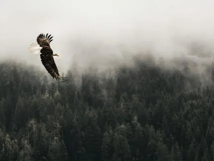 No More Self-Abandonment