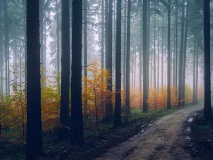 No More Time To Not Remember