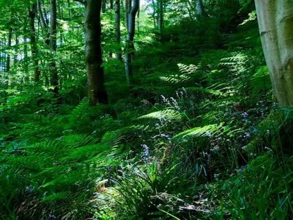 No More Waiting Now (Poem)