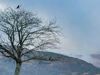 No More Words (Native American Flute)