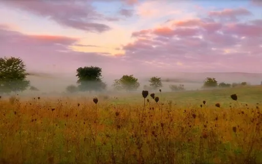 No Mud, No Lotus: Exploring Our Suffering