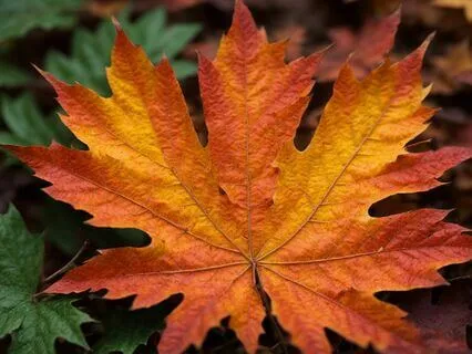 No One Has To Change For Me