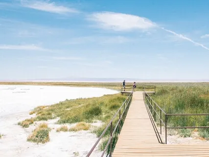 No One's Thinking About You And That's A Liberating Thing