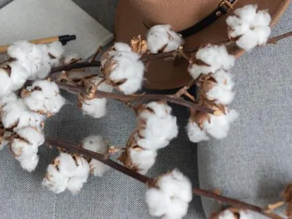 No Rush Capsule : Feeling The Weather