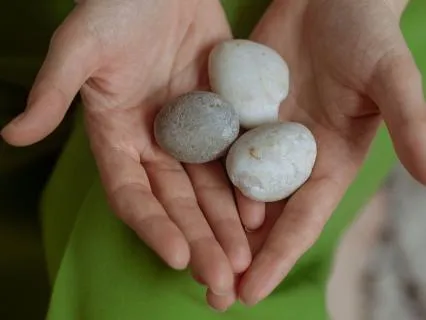 No Rush Capsule : One Minute With A Snail