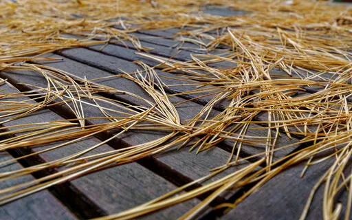 No Support:  A Meditation For Bedtime (With Music)