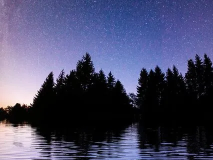 Nocturnal Nirvana: Deep Rest