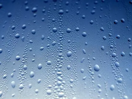 Nocturnal Tranquility 7 Hours Of Rain For Deep Sleep