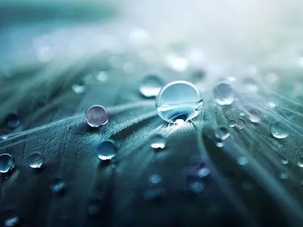 Nocturne In Eb Major, Op. 55: No. 2 (Chopin)