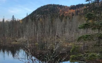 Noku Mana - Curawaka Cover