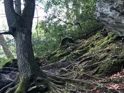 Noku Mana (Huni Kuin Tribe)