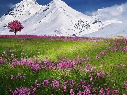 Non Attachment & Letting Go