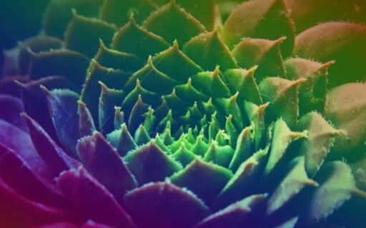 Non-Binary Healing {Part I}