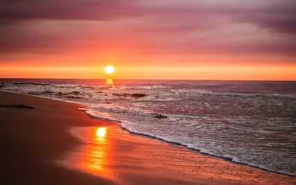 Non Duality Yoga Nidra - Connected To everything