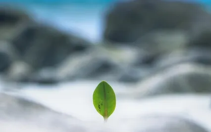 Non-Judgment – Addiction Recovery