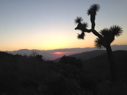 Non Meditation Meditation To Welcome Peace