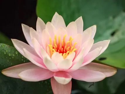 Non-Sleep Deep Rest: A Relaxing Practice To Ease Anxiety