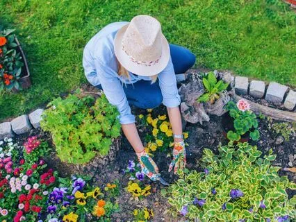 Focus For Happiness | Non-Sleep Deep Rest (NSDR)