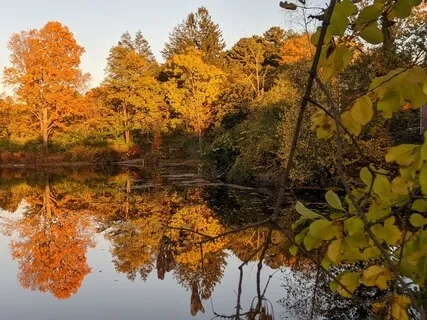 Non-Sleep Deep Rest (NSDR) - Part One