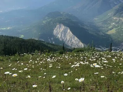 Non-Sleep Deep Rest (NSDR): Release