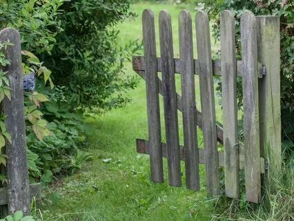 Non Sleep Deep Rest Yoga Nidra Meditation For Self-Care