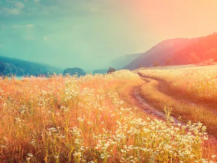 Non-Duality Practice On Aliveness