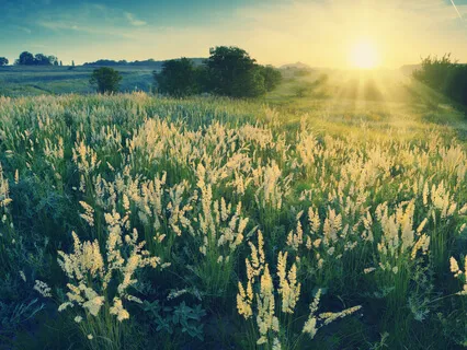 Non-Duality Practice On The I Am, Its Presence & Source