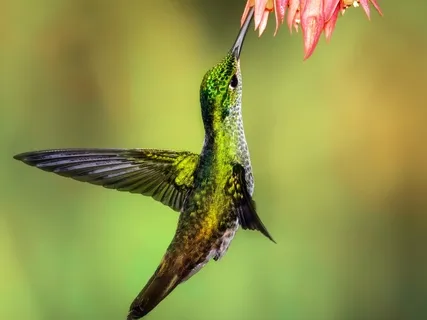 Nostril Breathing For Relaxation 