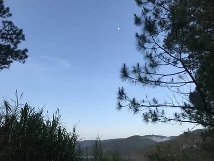 Not A Small Me But A Vast We