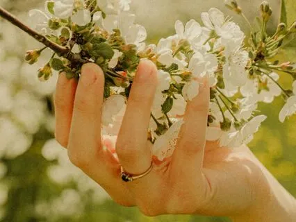 Not Everything That's Heavy Is Yours To Carry