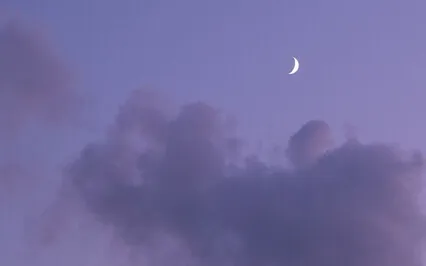 Not In Words But In Deeds