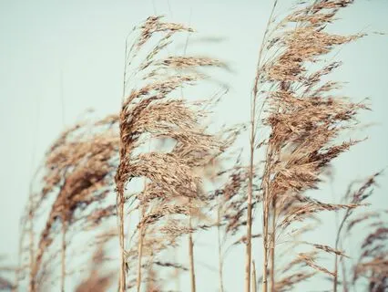 Not Interpreting Any Experience, You Are Free