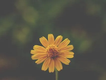 Not Performing: A Practice In Authenticity