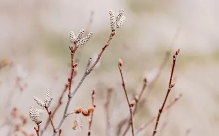 Not Taking Things Personally