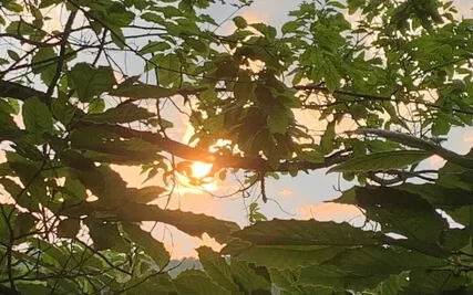 Not That Which People Here Adore