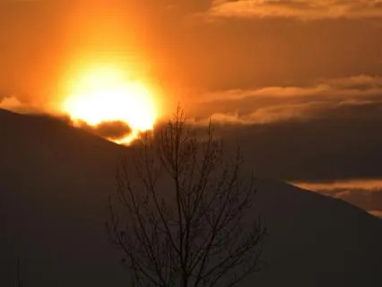 Not Tonight's Problem