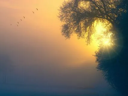 "Notes Of Repose" (With Birds And Water)