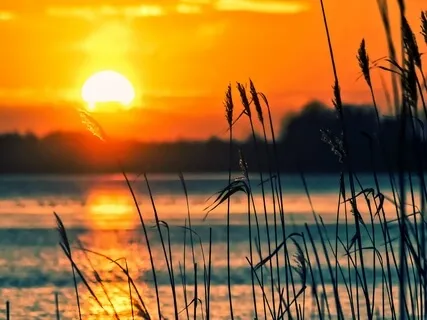 Nothing But Peace | Soothing Sounds For Mindfulness