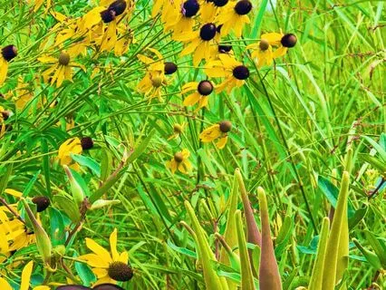 Nothing Changes Unless You Do