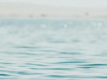 Nothing Has Been Added. Nothing Has Been Taken Away.